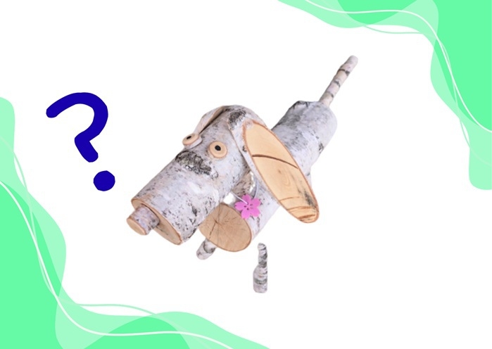 【朝夕２食付き】どこにいるの？『ペスさがし』お客様体験型プラン♪