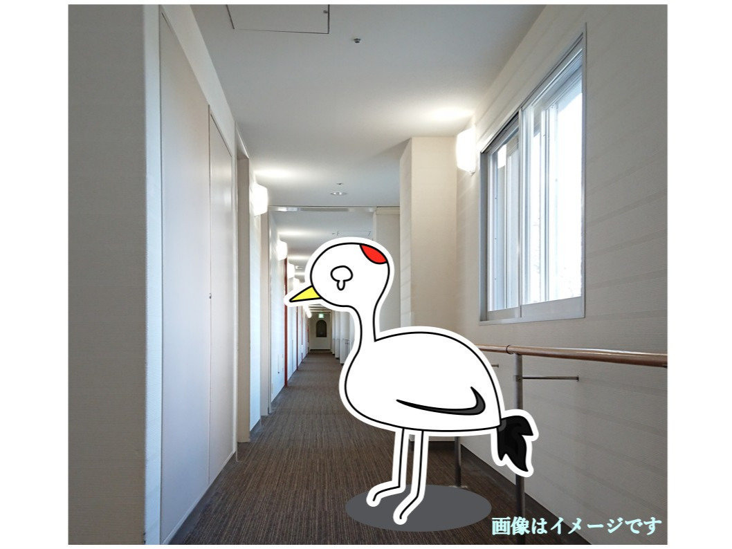 復活！！【朝夕２食付き】迷い込んだツルを探してください！つるつる・つるさがしプラン