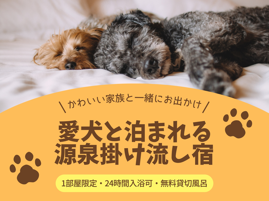 【ペットと一緒にお泊まりプラン】1部屋限定2食付◆お部屋食＆源泉掛け流し無料貸切風呂