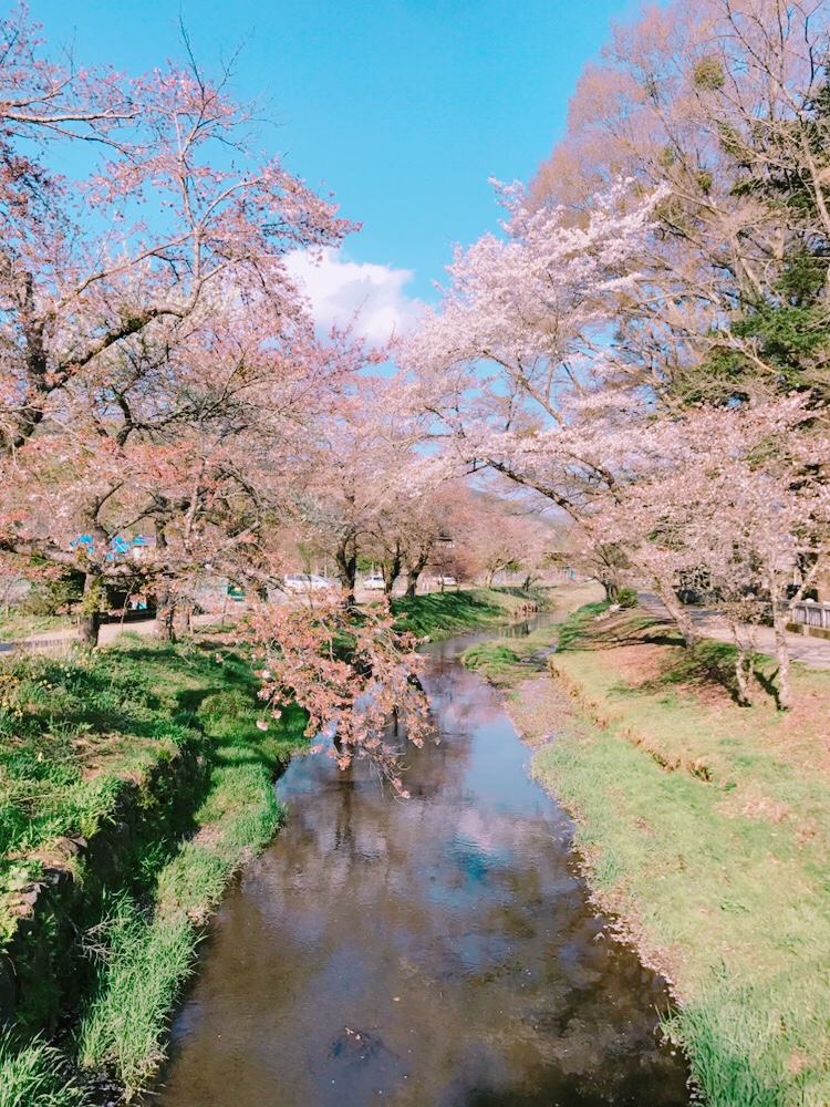周辺スポット