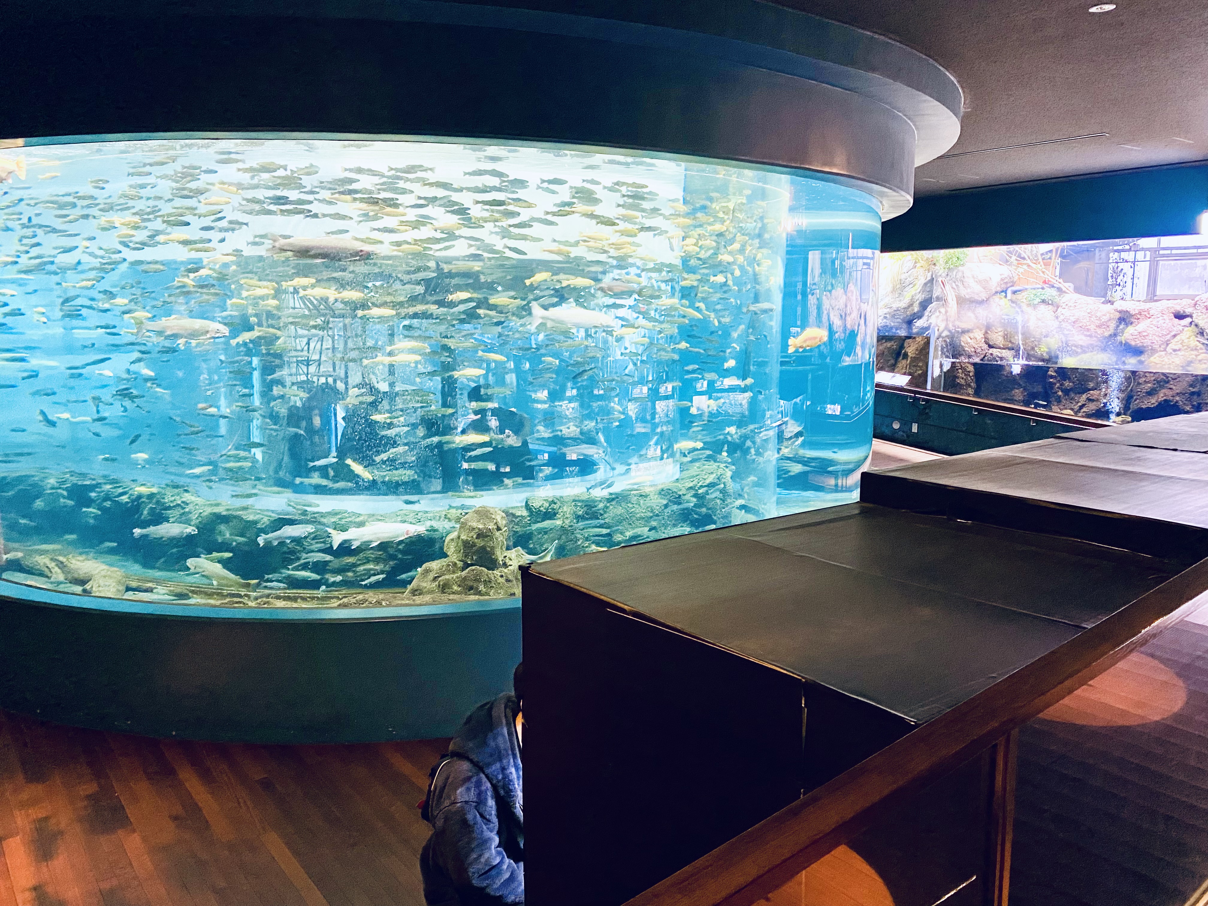 富士湧水の里水族館