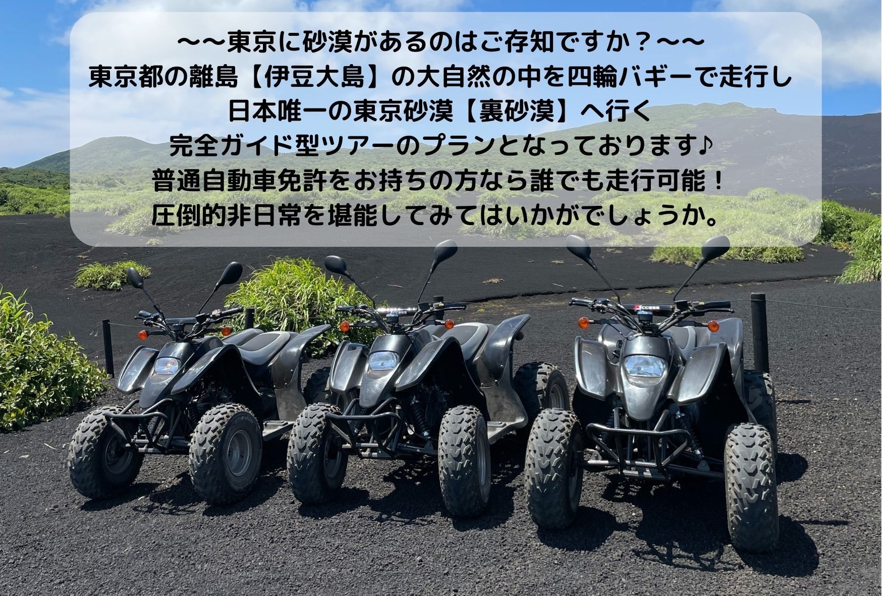 日本でここだけ【東京砂漠×バギーツアー】プラン　(普通自動車免許にて運転可能)※バギー料金は別途