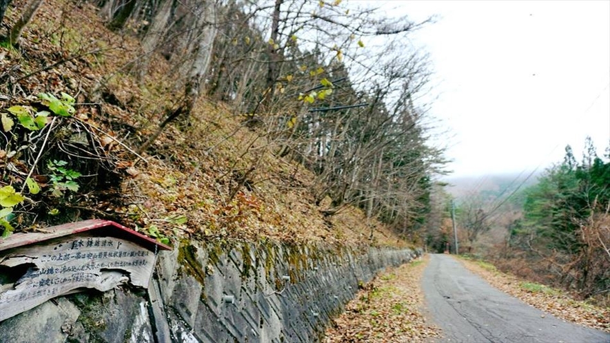 湧き水（Cloud Campから車で10分）