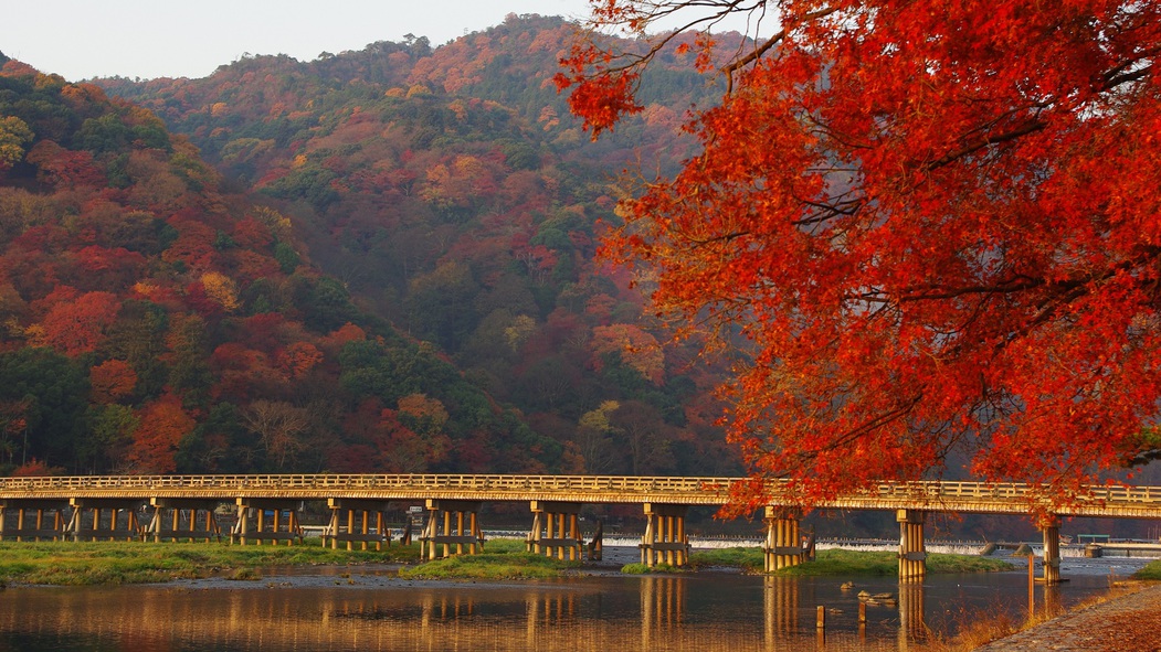 【京都観光】嵐山の紅葉