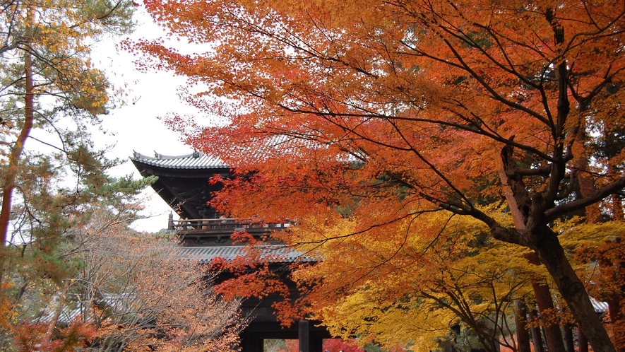 【京都観光】南禅寺の紅葉