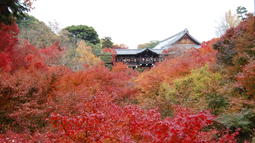 【京都観光】東福寺の紅葉