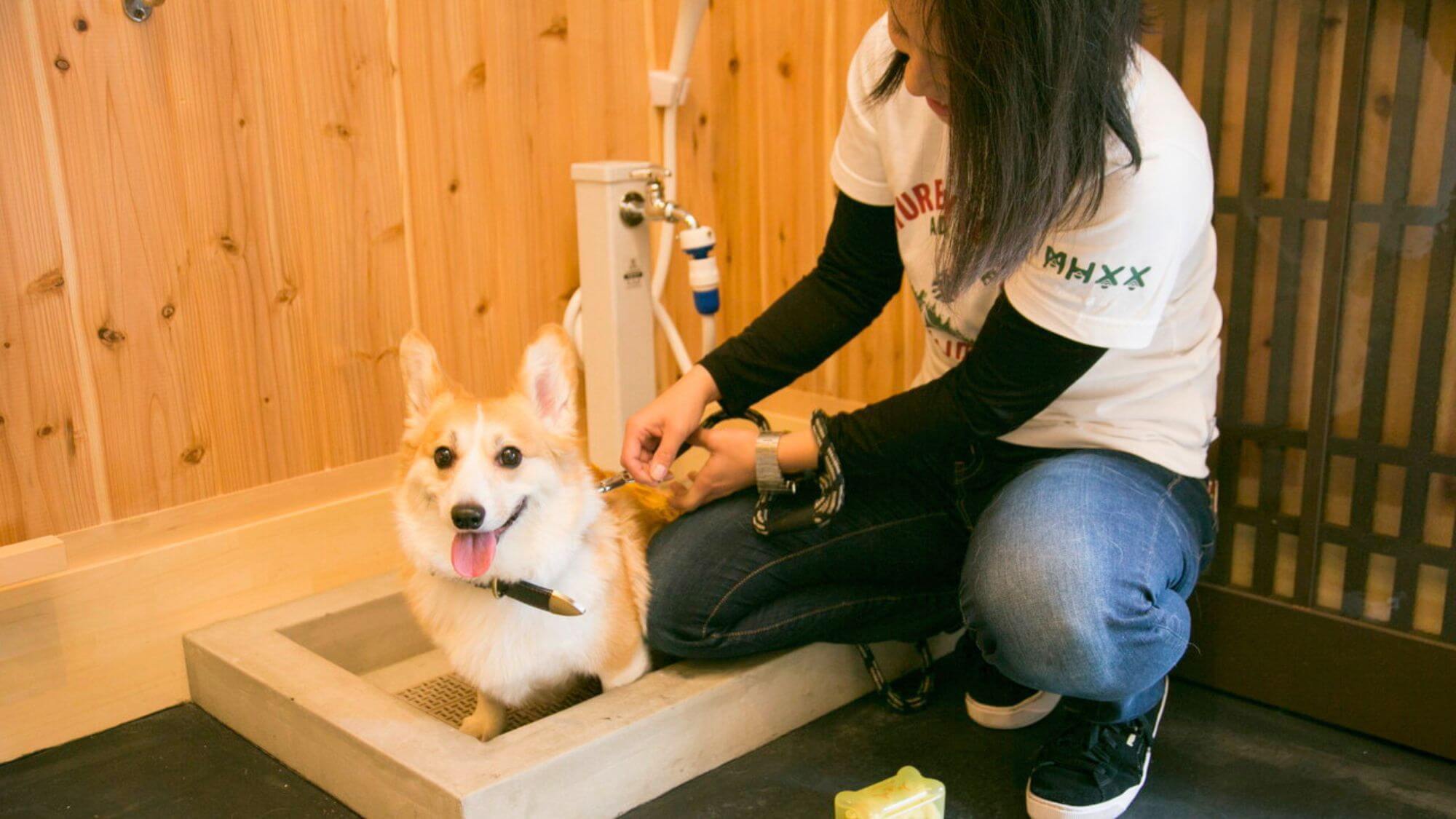 【ペット可】＜早割りプラン＞愛犬と泊まれる町家ステイ素泊プラン（6名様まで可能 WiFi対応）禁煙