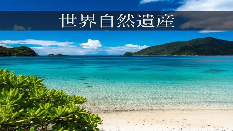 ◆世界自然遺産登録記念♪お得に素泊りプラン