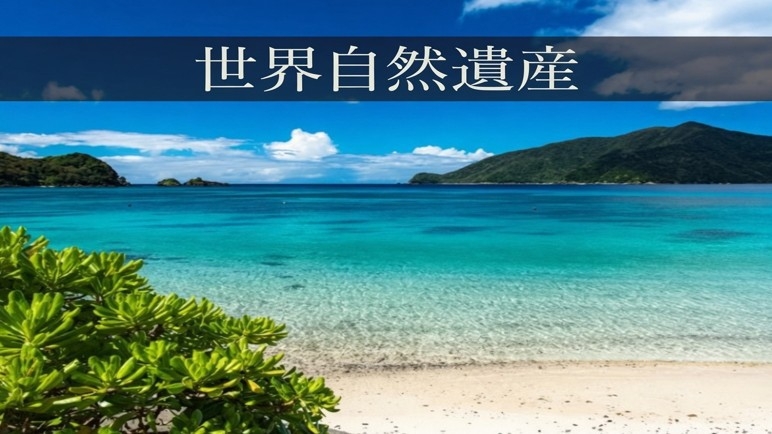 ◆世界自然遺産登録記念♪お得に素泊りプラン