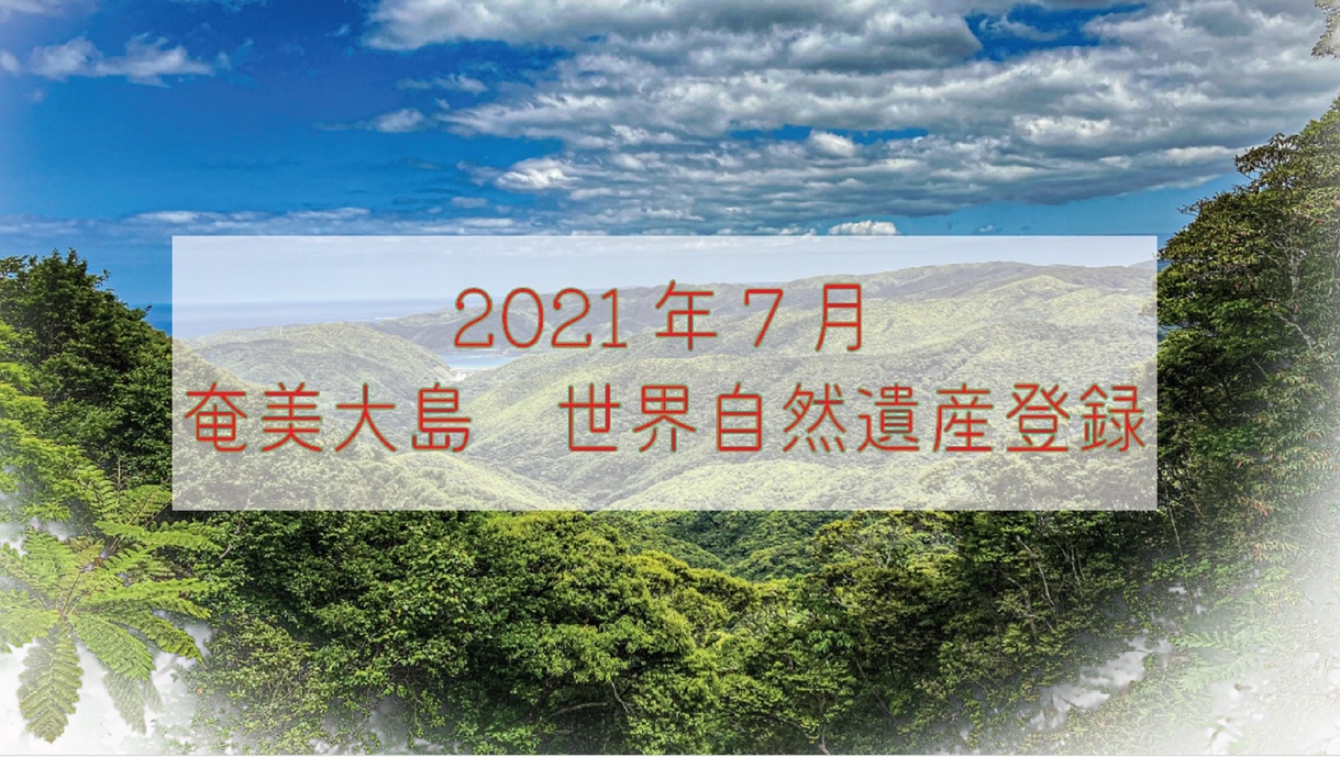 ◆世界自然遺産登録記念♪お得に素泊りプラン