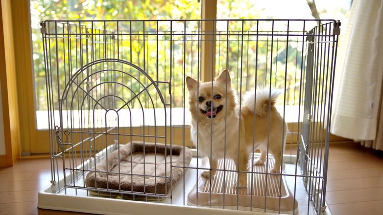 ★【1泊2食】愛犬と泊まる温泉ステイ｜大切な家族と過ごす山あいの宿