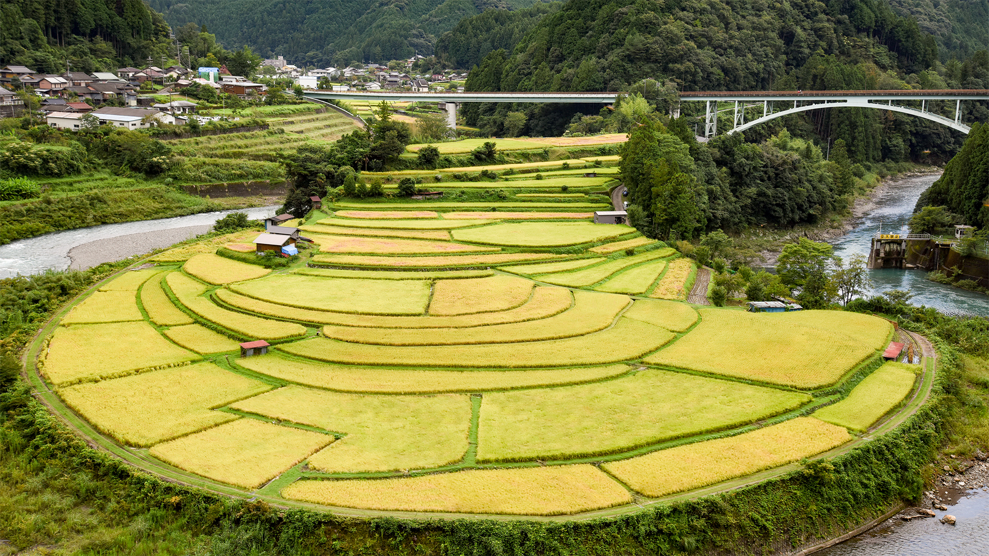 *【あらぎ島】和歌山県で唯一の「日本の棚田百選」に選ばれた有田川町のシンボル。