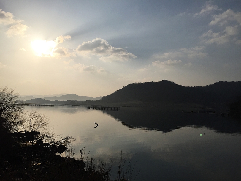 久美浜産牡蠣尽くしプラン