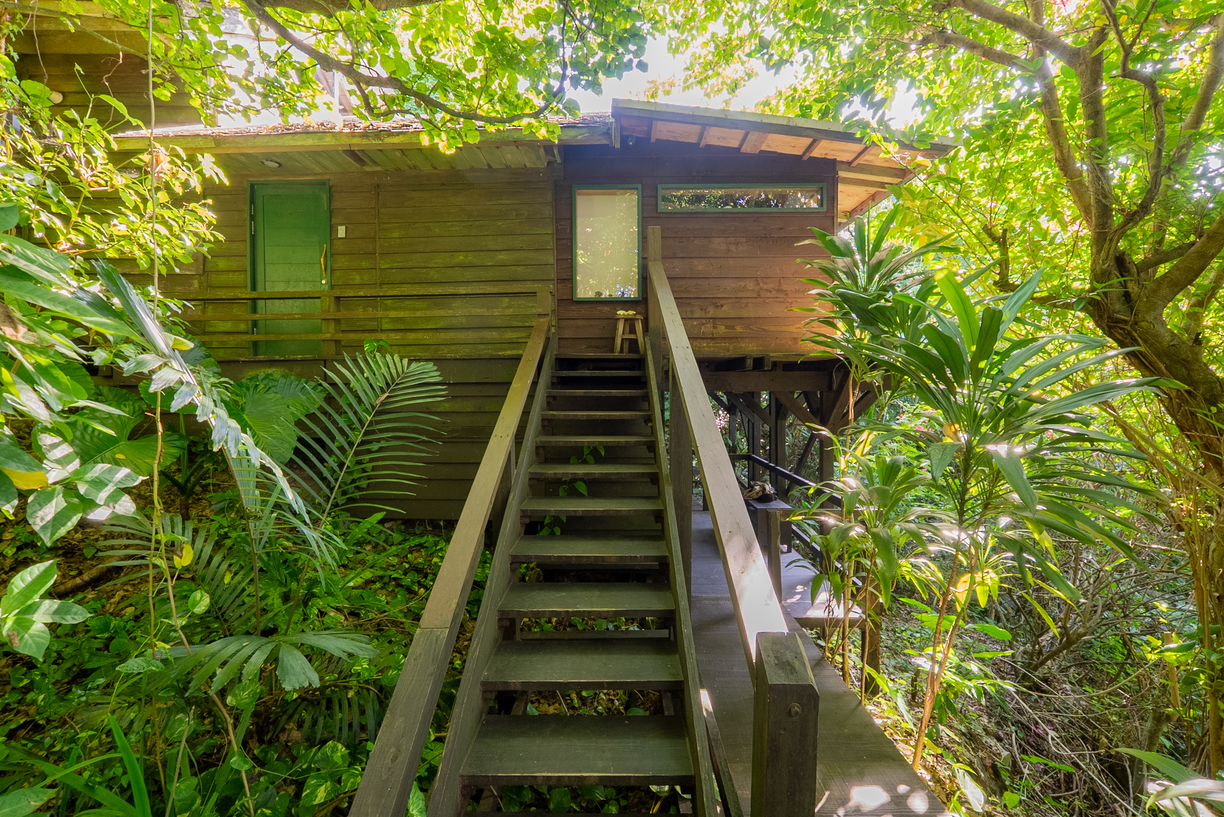 山の小屋　外観