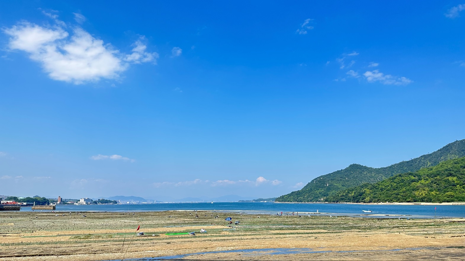 【牛ステーキ】贅沢！和会席ディナー☆夕食付☆プラン【駐車場無料】