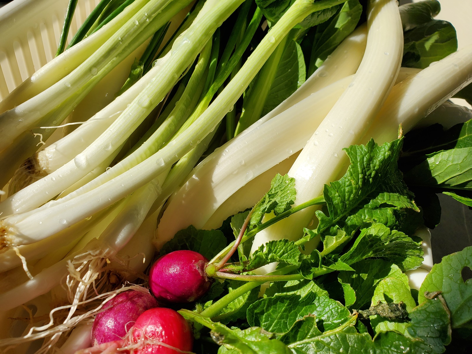 一例：すえひろファームの野菜たち