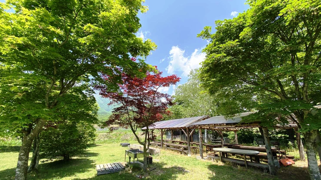 ★【春の味覚】ちょっくら採ってくるわ！採りたて新鮮な山菜料理を食べられるプラン♪≪２食付≫