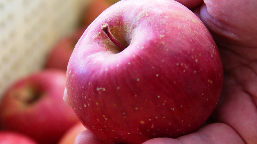 自家栽培りんごは、甘みも酸味もちょうどいい美味しさ♪