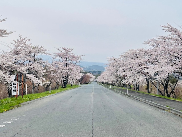 【連泊】八幡平を満喫★イン15時〜22時／アウト〜9時★【寝室個室】素泊まり／家族風呂／禁煙