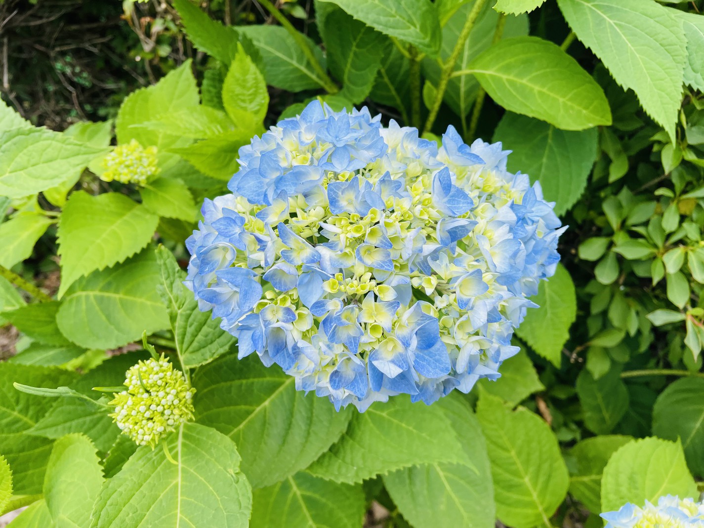 【連泊】八幡平を満喫★イン15時〜22時／アウト〜9時★【寝室個室】素泊まり／家族風呂／禁煙