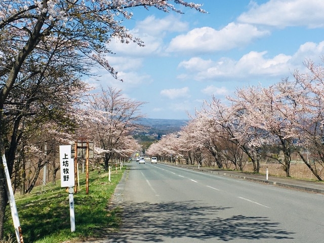 【連泊】八幡平を満喫★チェックイン15時〜22時★【寝室個室】素泊まり／交替家族風呂／禁煙