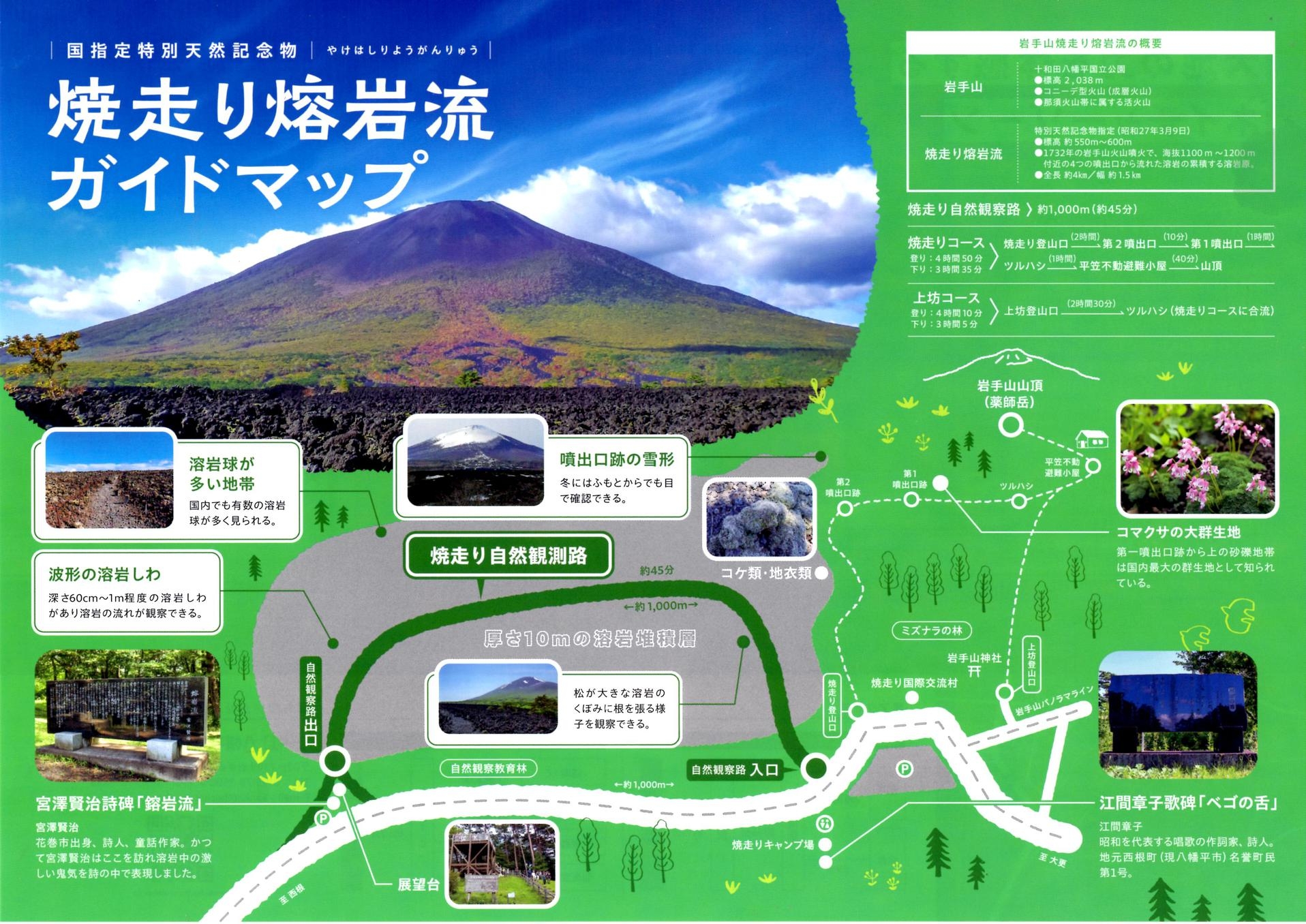 ★小学生以下添い寝含む★チェックイン15時〜22時【寝室個室】素泊まり／時間交替家族風呂／館内禁煙