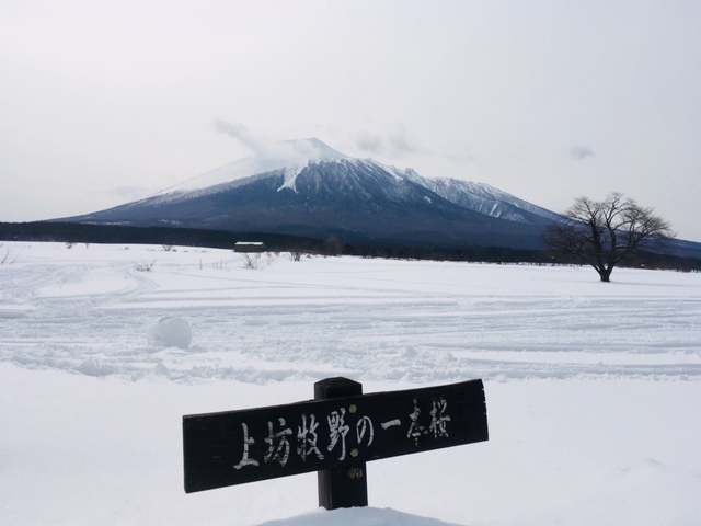 【連泊】八幡平を満喫★イン15時〜22時／アウト〜9時★【寝室個室】素泊まり／家族風呂／禁煙