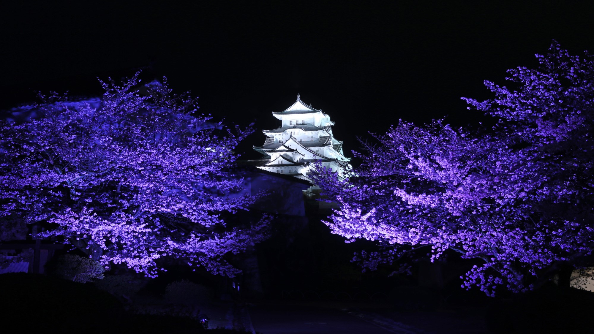 夜の姫路城 日没から午前0時までライトアップしております