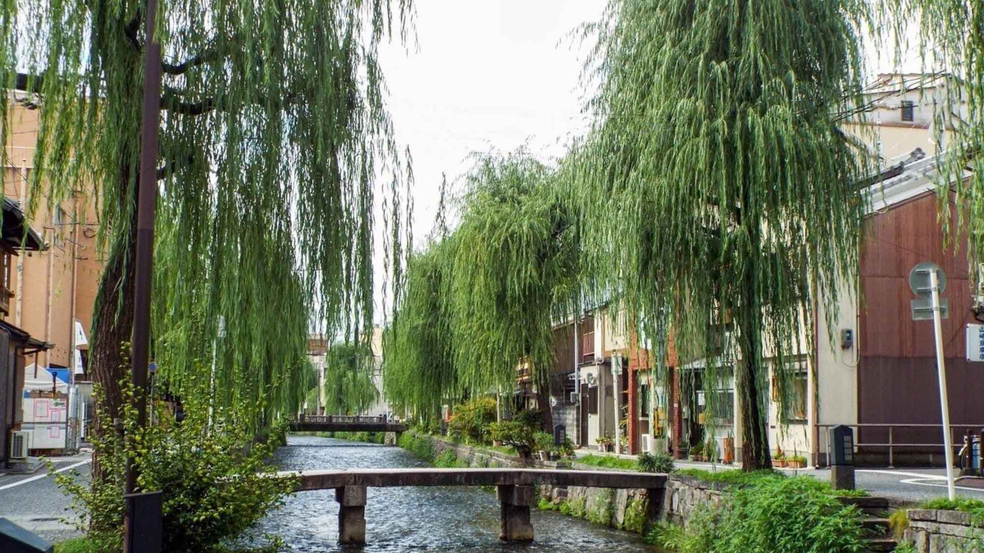 【京都・祇園】京都らしい風情あふれる白川名橋めぐりで、柳並木を散策してみてはいかがでしょうか。