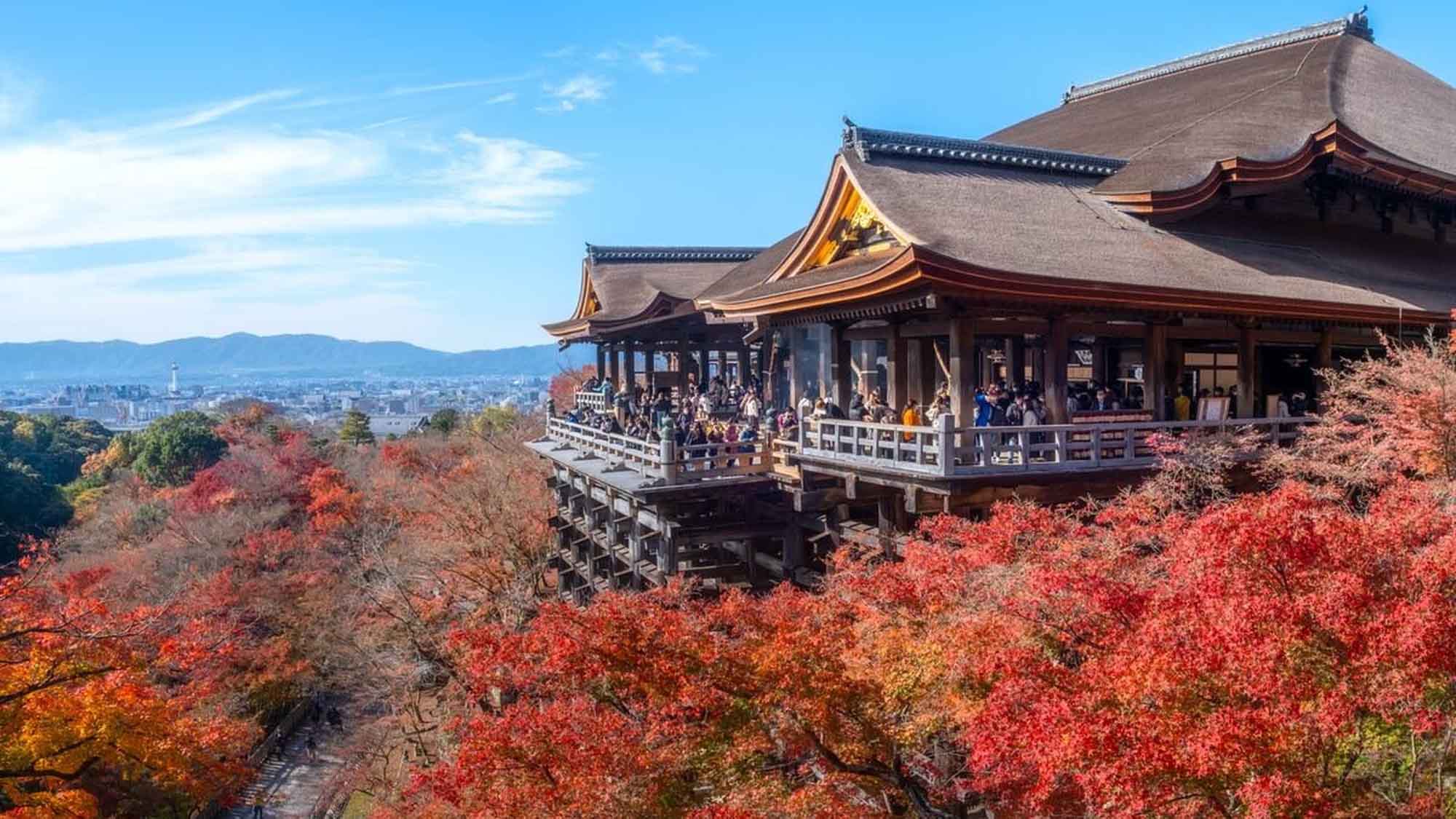 【京都・清水寺】夜の特別拝観とライトアップが行われる。観音様の慈悲の光と、紅葉を楽しめる。