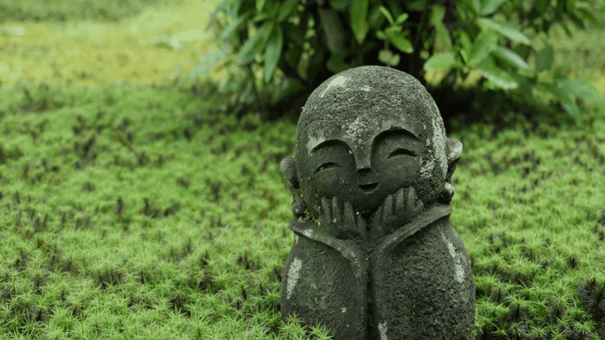 【京都・圓光寺】涼しげな枯山水庭園があり、洛北を見渡せる眺望、かわいいお地蔵さんも人気です。