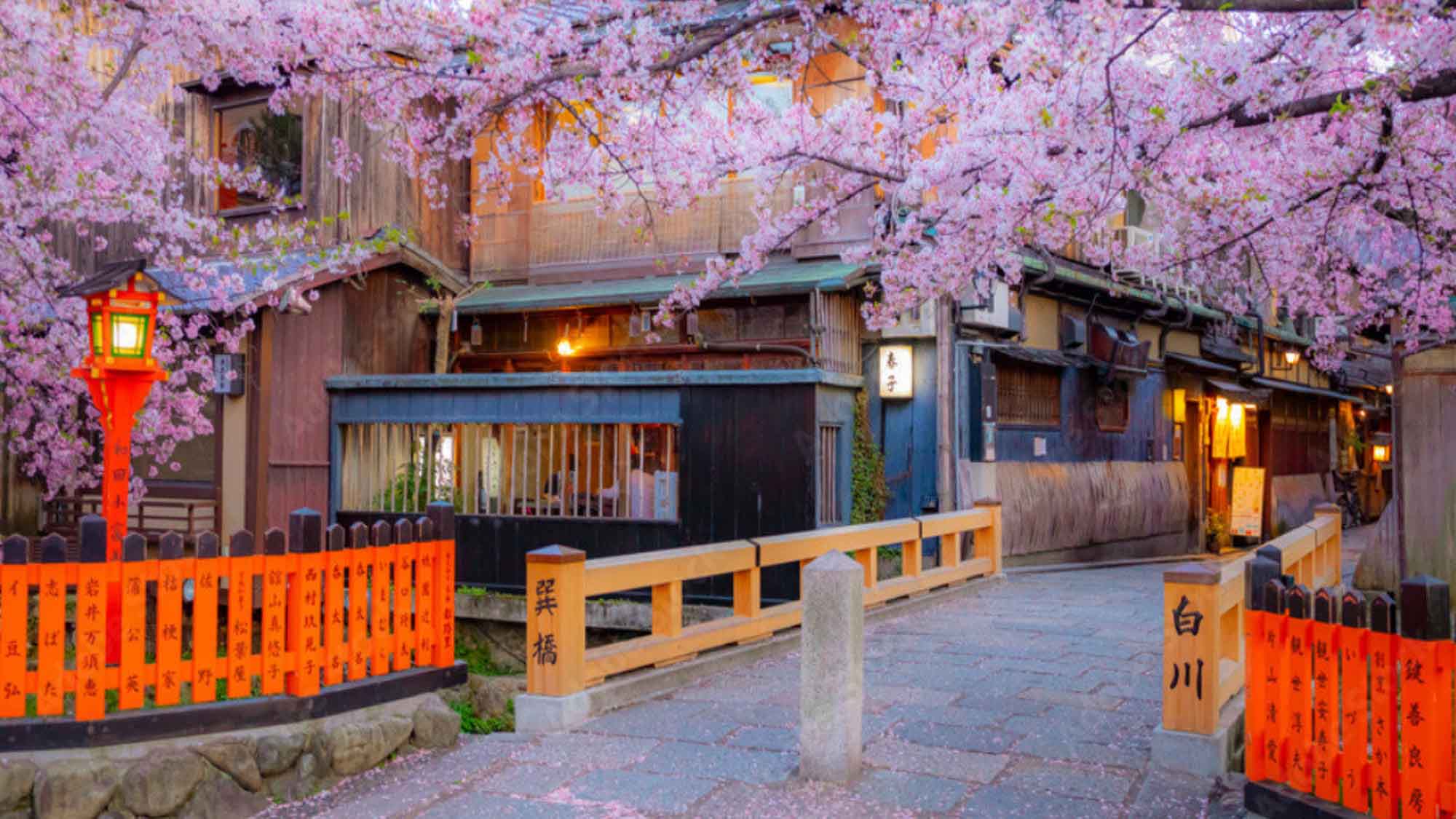 【祇園白川】町家が連なり、白川が流れ、石畳の道が続いており、春の桜のライトアップは情緒を楽しめる。