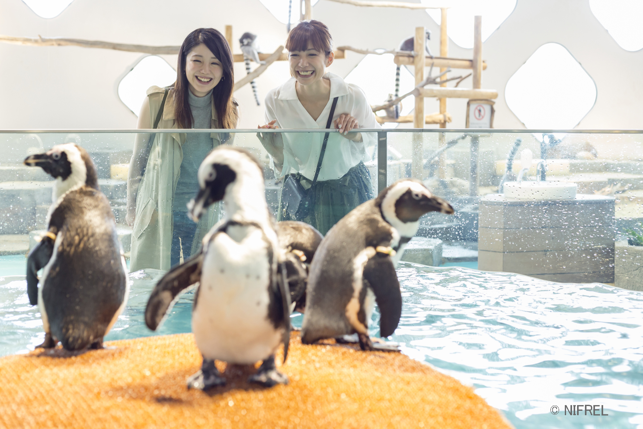 ＳＡＲＡＳＡ　ＨＯＴＥＬ新大阪（サラサ　ホテル新大阪） - 写真 47