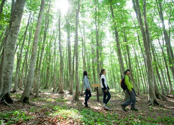 【東北在住者平日限定／朝食無料キャンペーン】素泊まり価格で安比自慢の朝食ビュッフェ付プラン＜朝食付＞