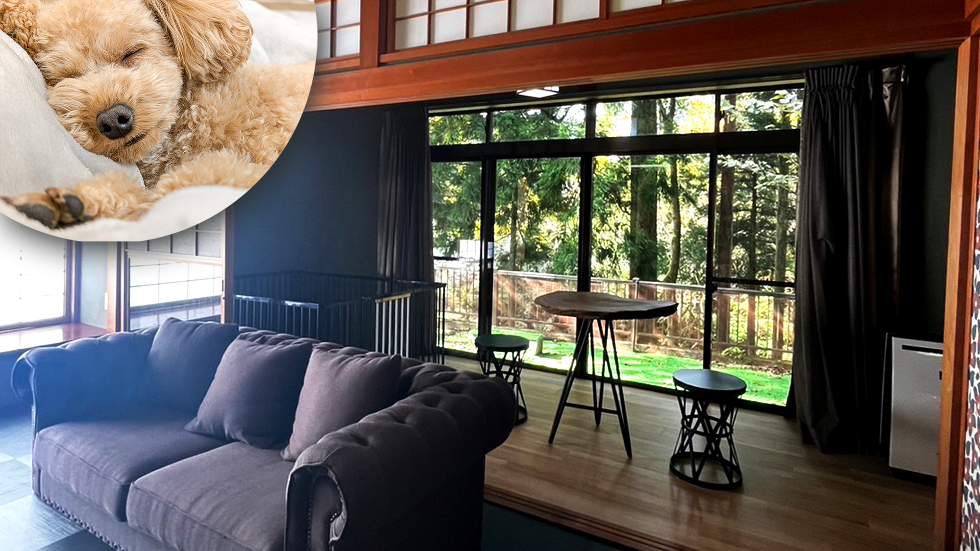 愛犬とお泊り♪一棟貸し和館　1階リビング