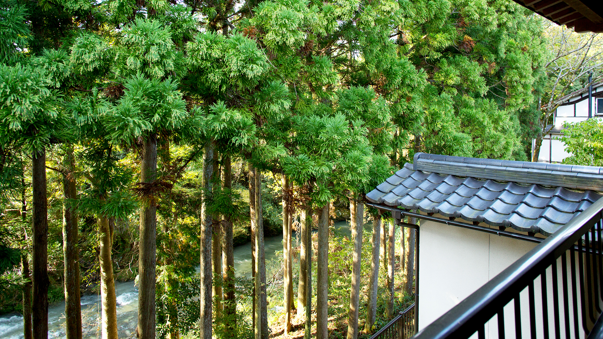 和館から見える川のせせらぎ