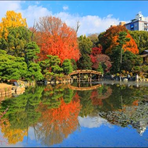 春は梅や桜/夏は菖蒲や睡蓮/秋は紅葉/冬はライトアップと常時見どころ満載の渉成園/徒歩30秒