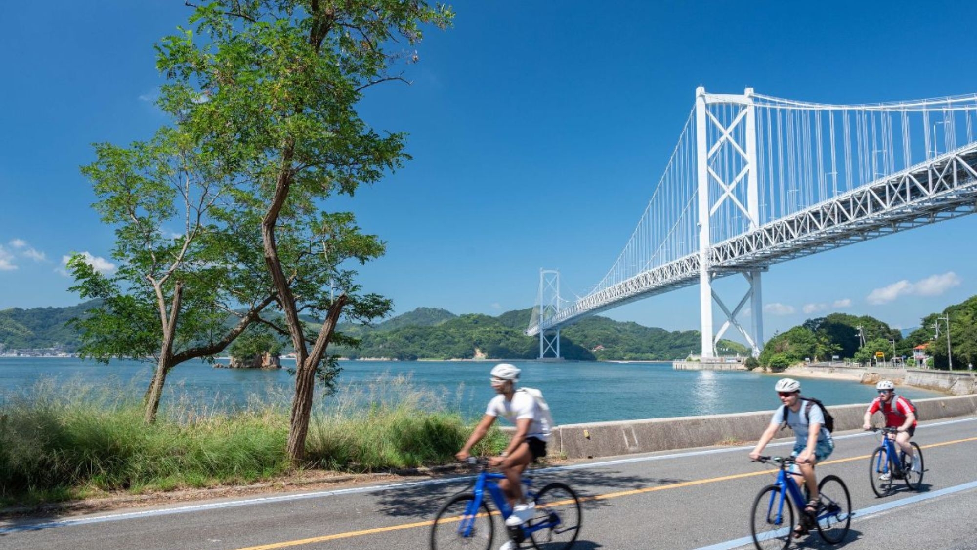 ◆【レンタサイクル付】尾道観光の拠点に♪夜は瀬戸内の旬を堪能☆接客高評価の宿◎＜夕朝食付＞