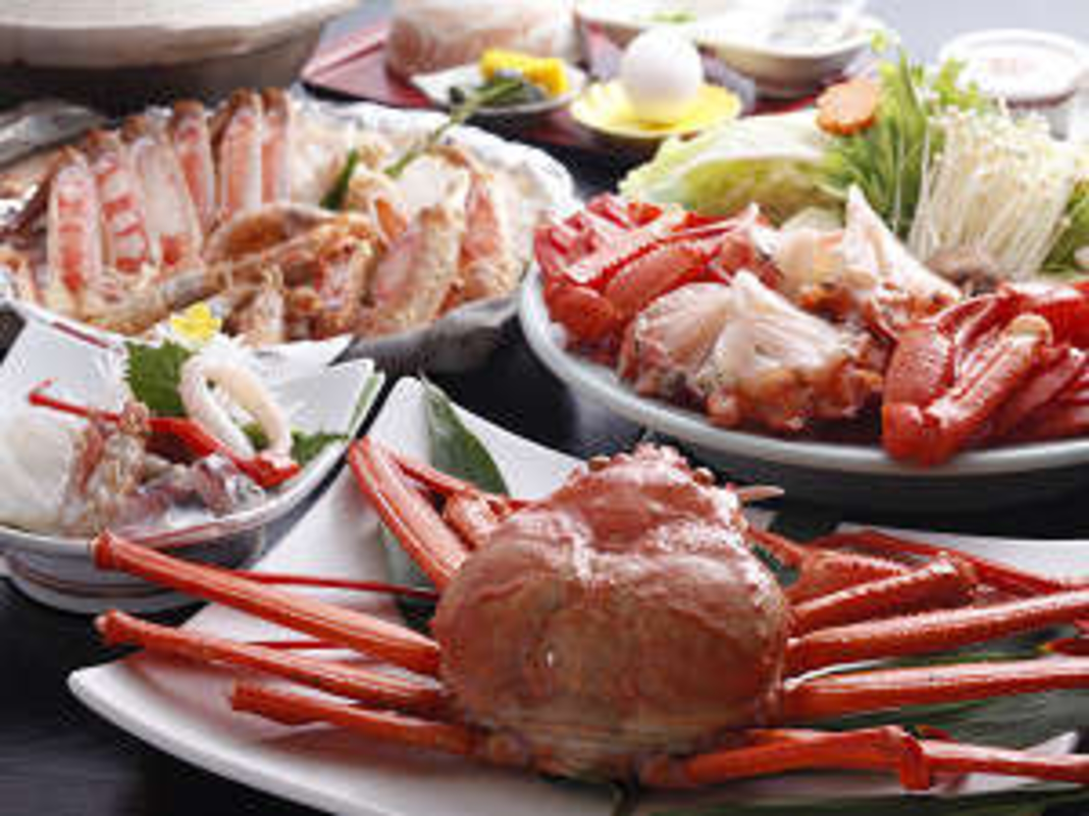 ペットと旅行に行きたくなる宿 香住 臨海荘 宿泊予約 楽天トラベル ペットと旅行に行きたくなる宿 香住 臨海荘 宿泊予約 楽天トラベル