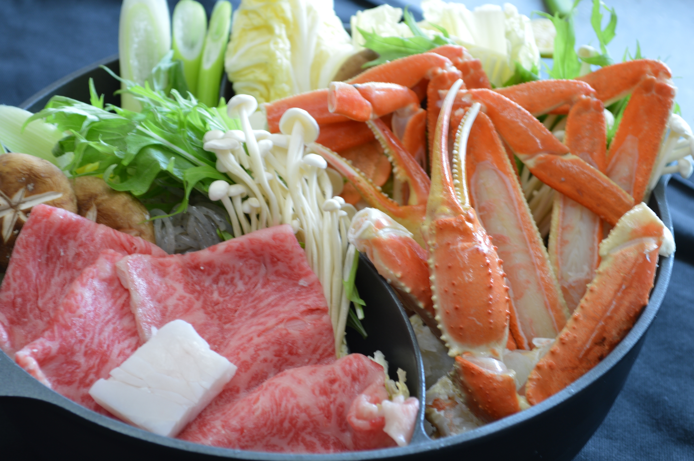 ペットと旅行に行きたくなる宿 香住 臨海荘 宿泊予約 楽天トラベル ペットと旅行に行きたくなる宿 香住 臨海荘 宿泊予約 楽天トラベル