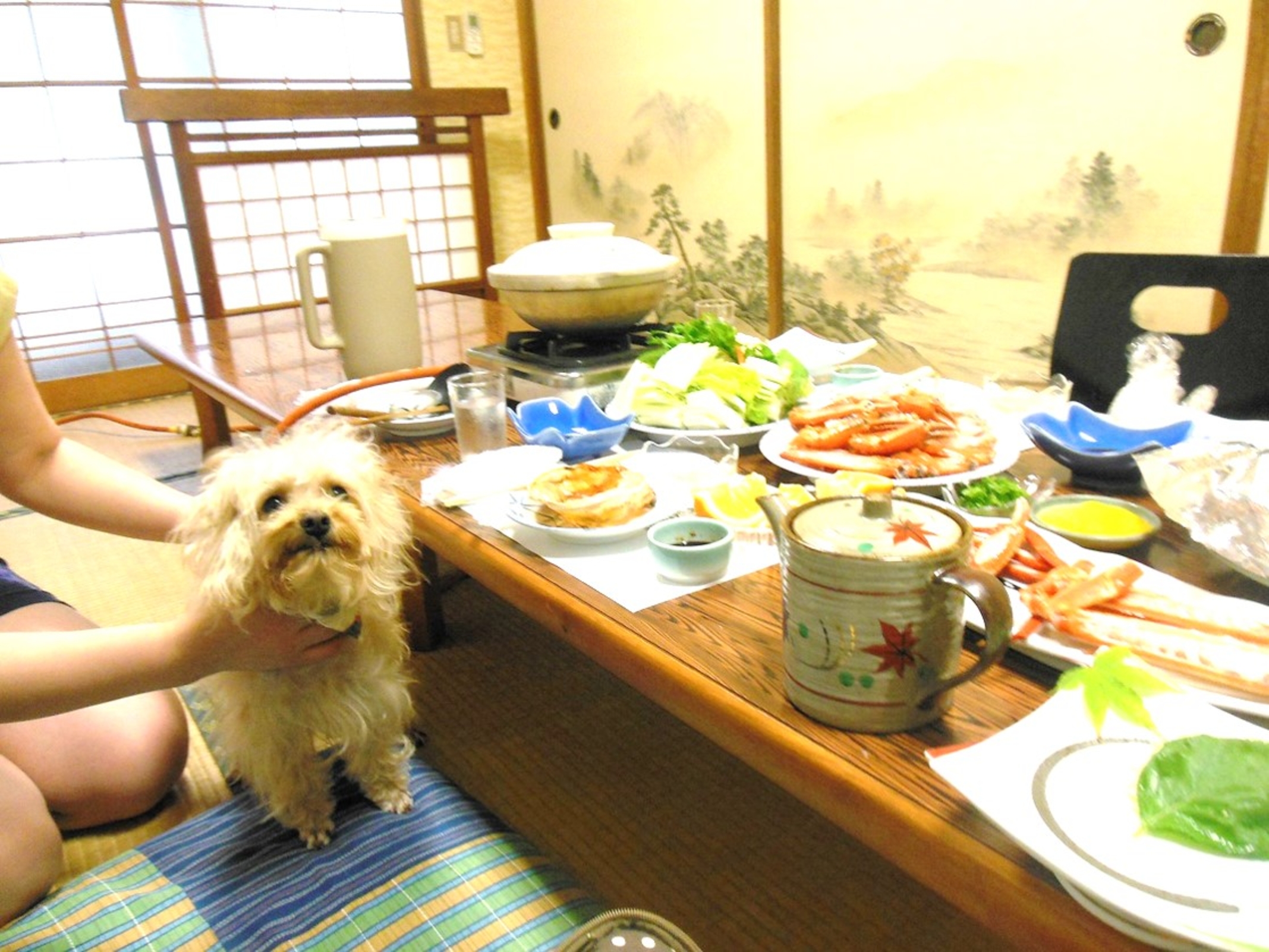 ペットと旅行に行きたくなる宿 香住 臨海荘 宿泊予約 楽天トラベル ペットと旅行に行きたくなる宿 香住 臨海荘 宿泊予約 楽天トラベル
