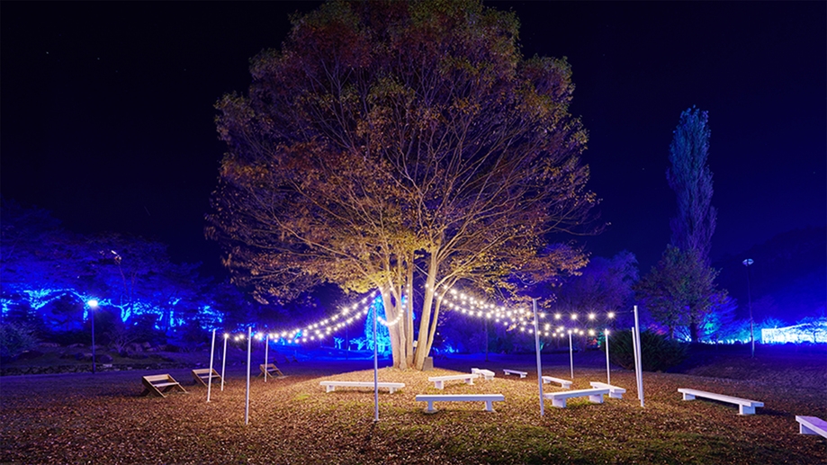 【お日にち限定ショートステイ・15時〜翌10時】＜HANARE・VILLA／レギュラーBBQ＞
