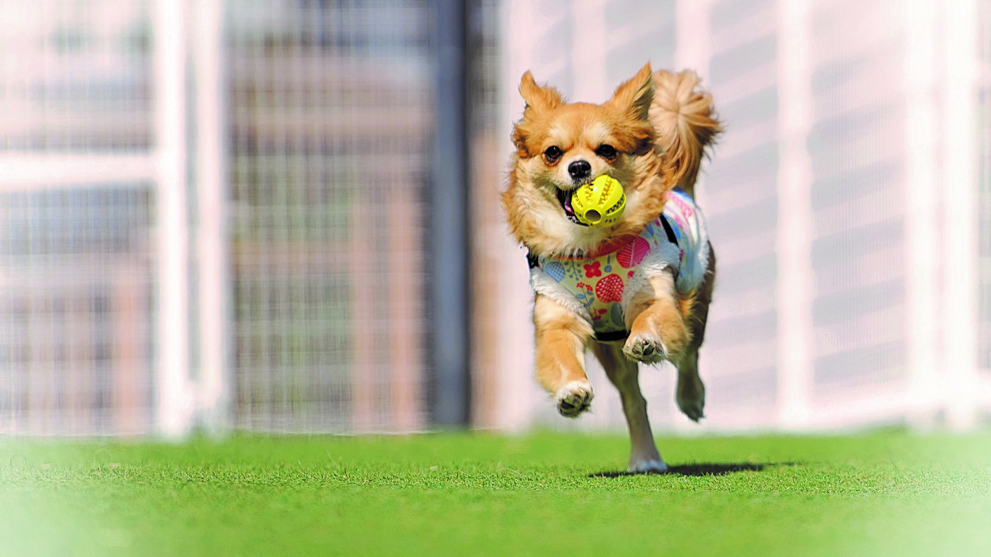 ワンちゃん大歓迎！お部屋には専用テラス、またお散歩に適した遊歩道もあり、快適にお過ごしいただけます。