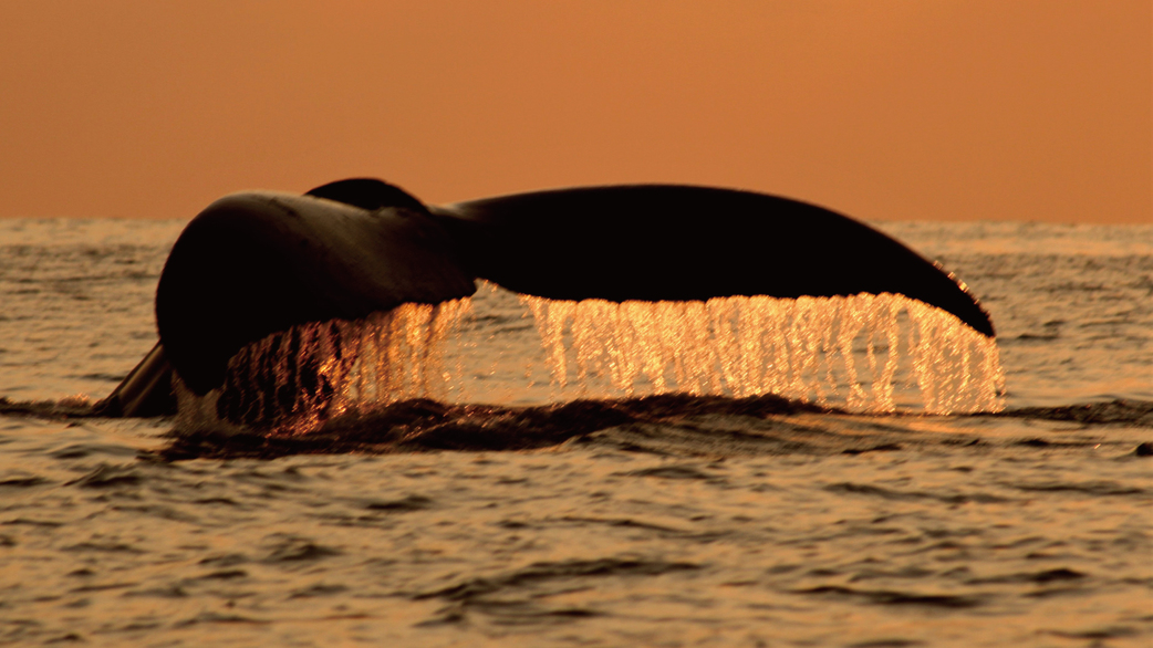 【春休み・カップル向け】たくさんの思い出で彩る沖縄旅行♪アクセス良好な北谷でバケーション（素泊）