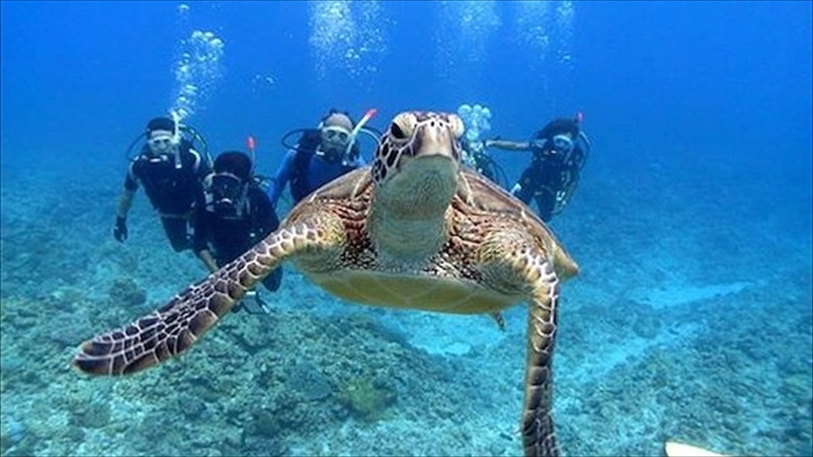 【20％OFF】【楽天スーパーSALE】プライベート空間重視☆全室オーシャンビュー！ (軽朝食付き）