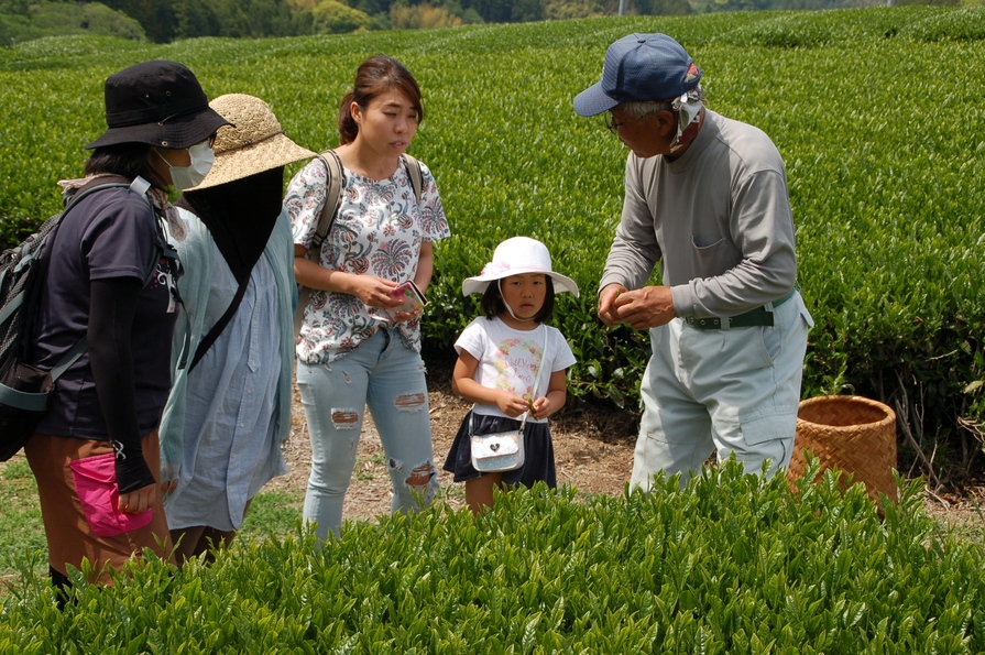 ≪古民家宿に泊まる季節の茶の里体験付≫【静岡県産】掛川名物いも汁作りとお茶三昧の休日　夕・朝食付き