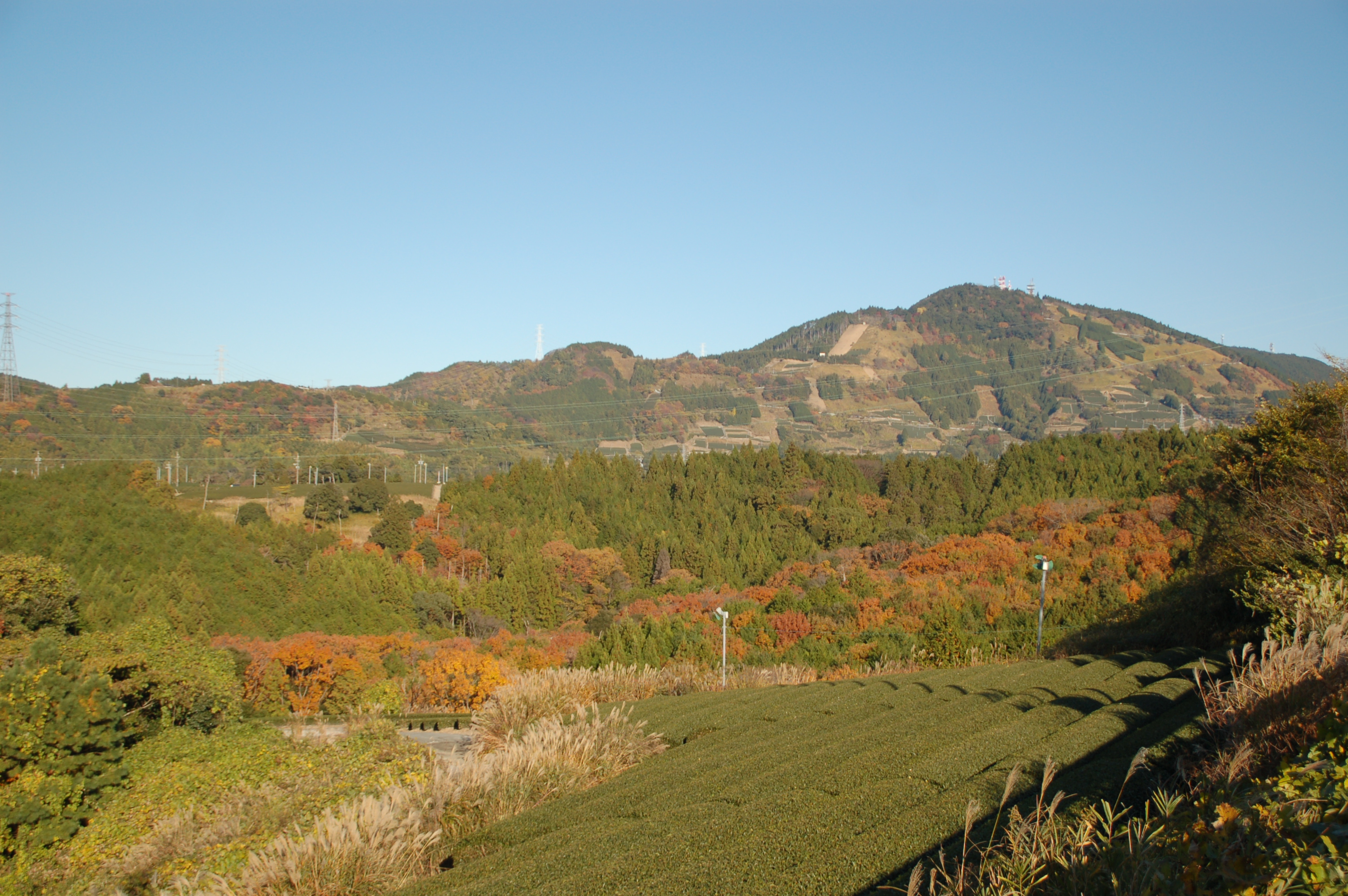 晩秋の粟ヶ岳　茶文字