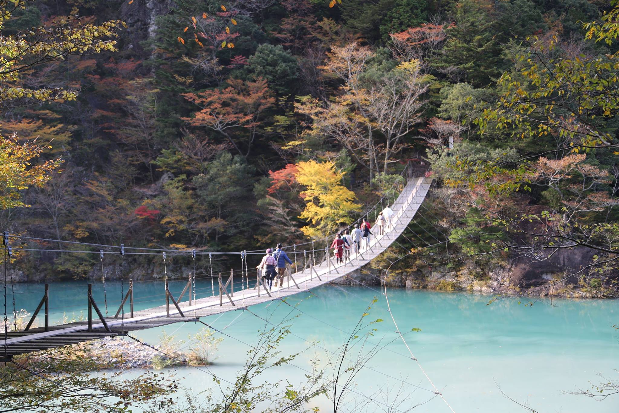 夢の釣り橋　寸又峡