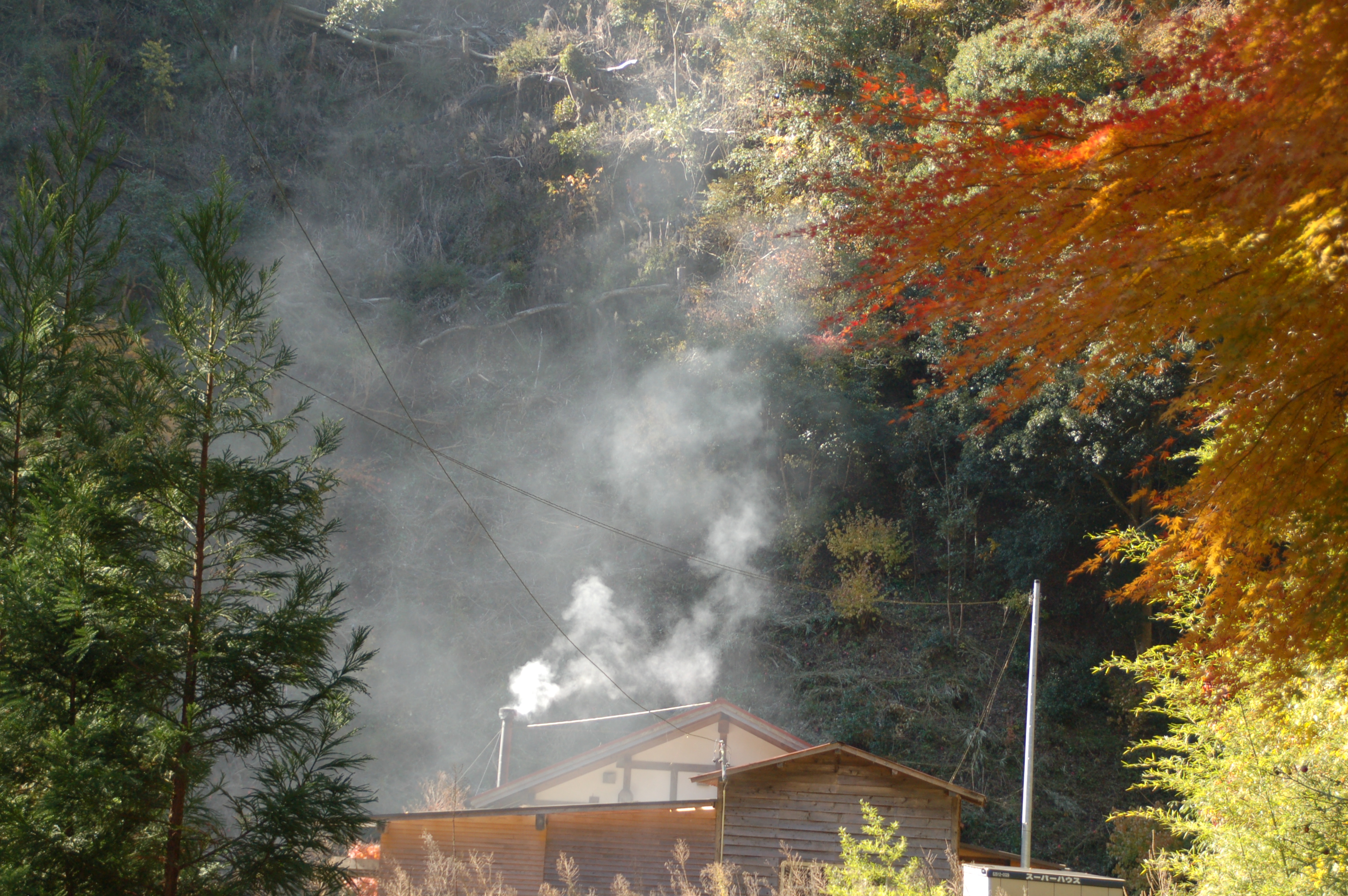 秋景色の「森の集会所」