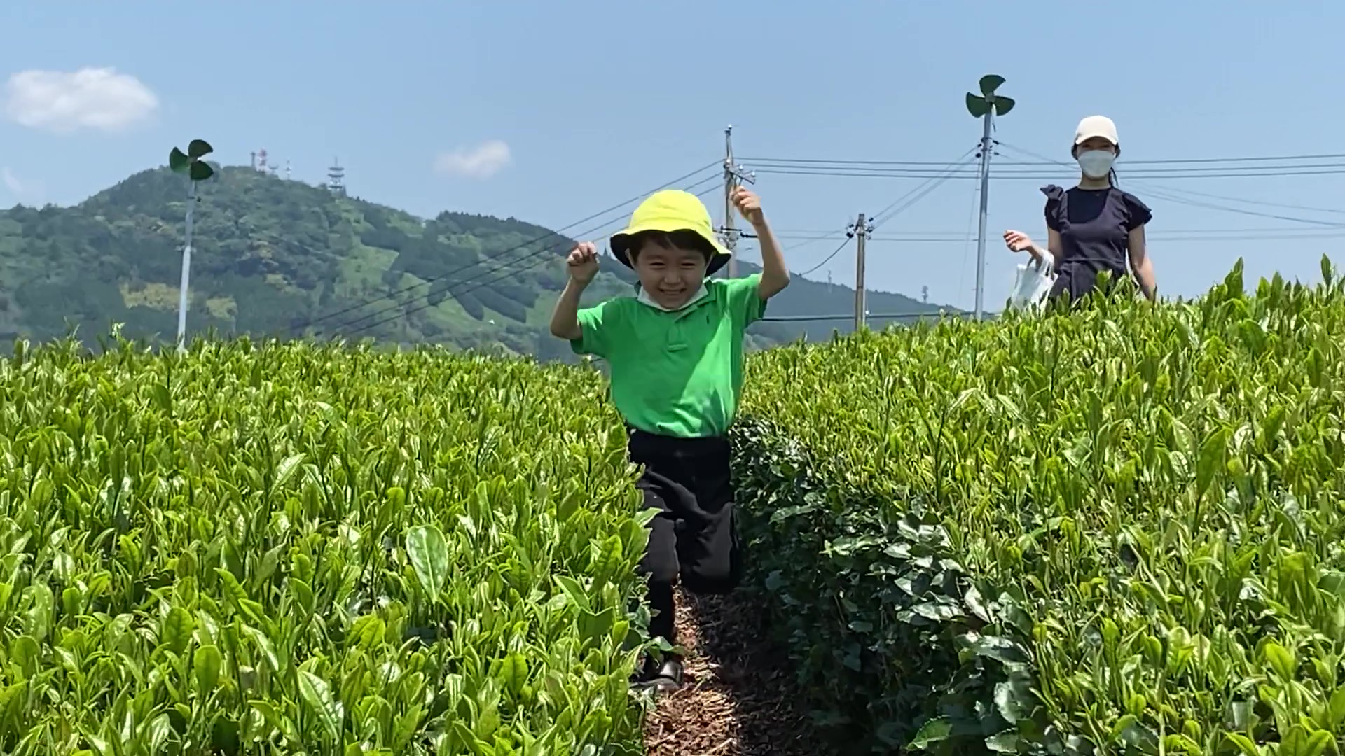 茶畑で大運動会